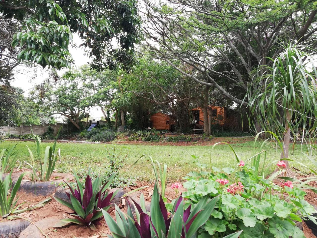 Beach Wood Cottages Shelly Beach Zewnętrze zdjęcie